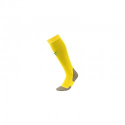 Team LIGA Socks CORE Cyber...