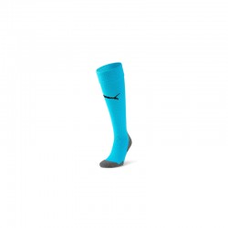 Team LIGA Socks CORE Blue...